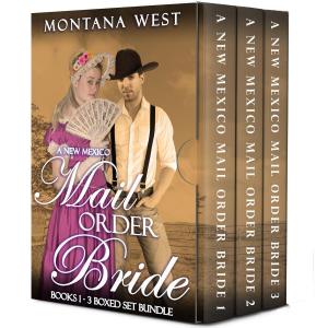 Book cover of A New Mexico Mail Order Bride 3-Book Boxed Set
