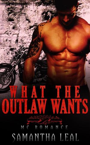Book cover of What the Outlaw Wants MC Romance
