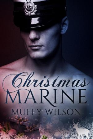 Cover of the book Christmas Marine by Nola Sarina, Emily Faith