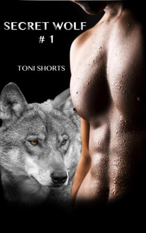 Cover of the book Secret Wolf 1 by Bart Hopkins