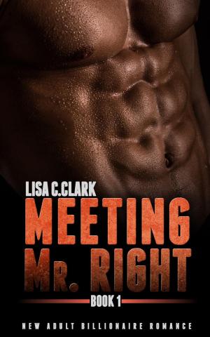 Cover of the book Meeting Mr. Right: Book # 1 by Phil Geusz
