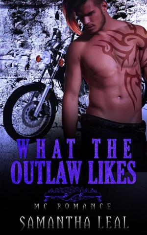 Book cover of What the Outlaw Likes MC Romance