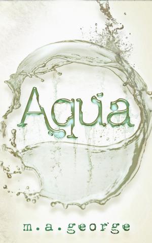 Cover of the book Aqua - Sample Edition: First Thirteen Chapters by Mark Trimeloni