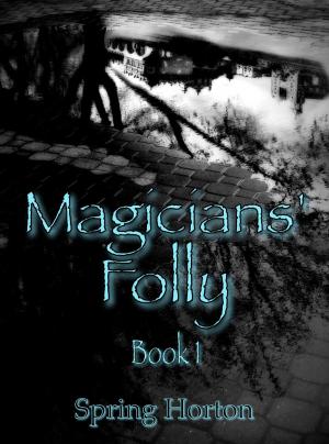 Cover of the book Magicians' Folly: Book One by D. L. Pitchford