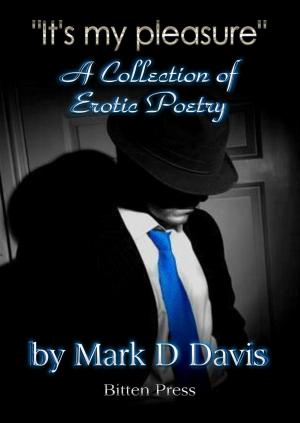 Cover of the book "It's my Pleasure", an Collection of Erotic Poetry by AJ Storm