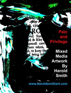 Cover of Pain and Privilege - Mixed Media Artwork by Harold Smith