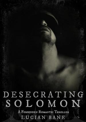 Cover of the book Desecrating Solomon by Leah Haley Morrison