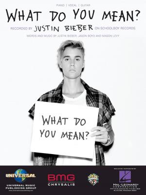 Book cover of What Do You Mean?
