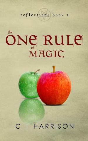Cover of the book The One Rule of Magic by Steven Jenkins