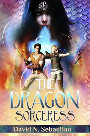 Cover of the book The Dragon Sorceress by Robert Davis