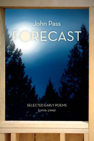Cover of the book Forecast by Hudson Mack