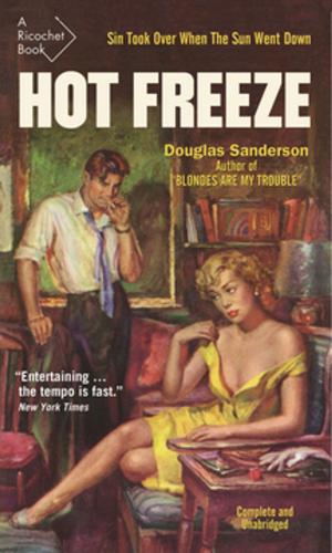 Cover of the book Hot Freeze by Mary Soderstrom