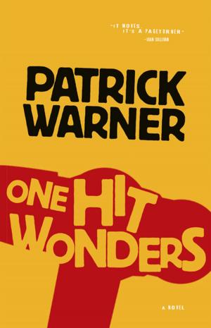 Cover of the book One Hit Wonders by Adrian de Hoog