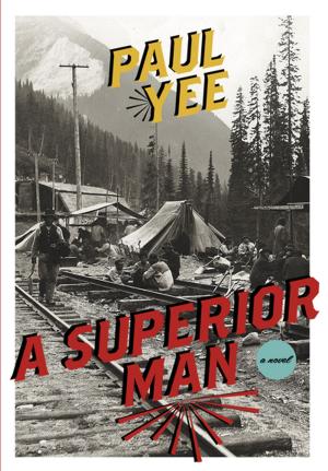 Cover of the book A Superior Man by Lisa Maas