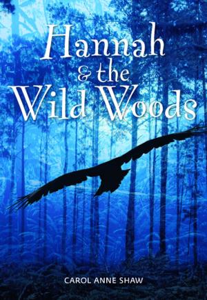 Cover of the book Hannah and the Wild Woods by Joseph Plaskett