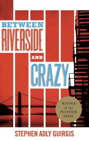 Cover of the book Between Riverside and Crazy (TCG Edition) by Suzan-Lori Parks