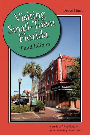 Cover of the book Visiting Small-Town Florida by Eliot Kleinberg