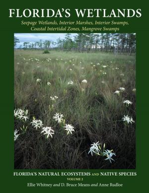 Cover of the book Florida's Wetlands by Virginia Aronson, Allyn Szejko