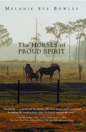 Cover of the book The Horses of Proud Spirit by Virginia Aronson, Allyn Szejko