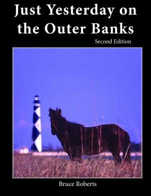 Cover of the book Just Yesterday on the Outer Banks by Terrance Zepke