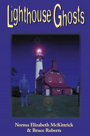 Book cover of Lighthouse Ghosts