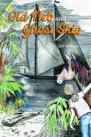 Cover of the book Old Neb and the Ghost Ship by Elinor De Wire