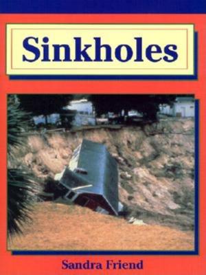 Cover of the book Sinkholes by John Viele