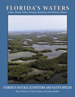 Cover of the book Florida's Waters by Mark Pendergrast