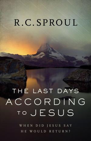 Cover of the book The Last Days according to Jesus by Lauraine Snelling
