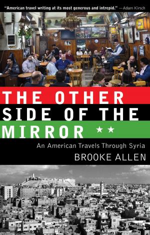 Cover of the book The Other Side of the Mirror by Stephen Lewis