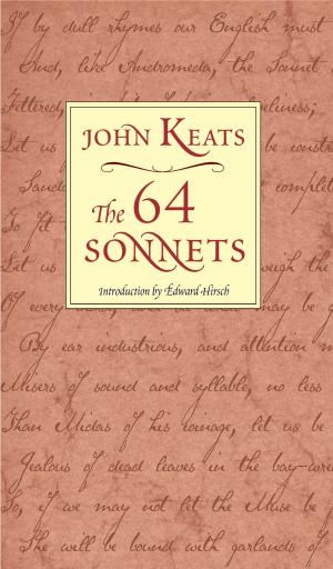 Book cover of The 64 Sonnets