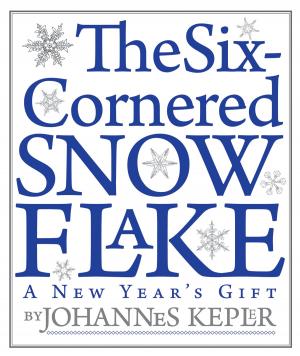 Cover of the book The Six-Cornered Snowflake by Gabriel Zaid, Natasha Wimmer
