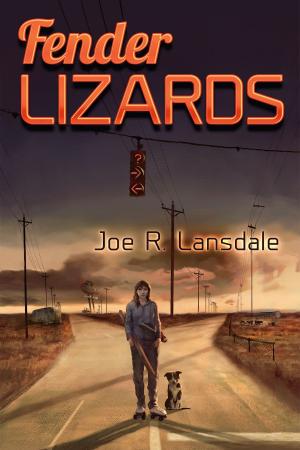 bigCover of the book Fender Lizards by 