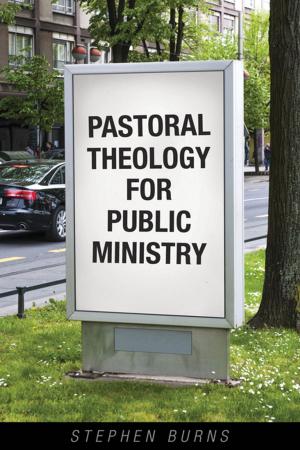 Cover of the book Pastoral Theology for Public Ministry by Lyn Zill Briggs