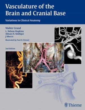 Cover of the book Vasculature of the Brain and Cranial Base by Markus K. Heinemann