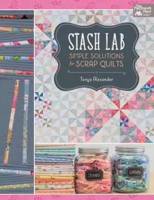 Cover of the book Stash Lab by Maggie Bonanomi