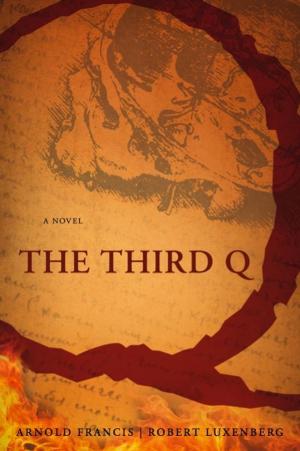 Cover of the book The Third Q: A Novel by Diana Hoppe