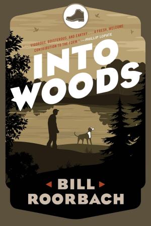 Cover of the book Into Woods by Jens Freyler