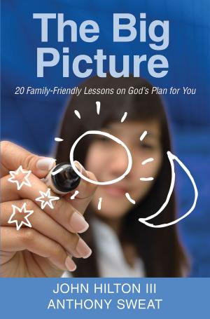 Cover of the book The Big Picture by Janiece Johnson, Jennifer Reeder
