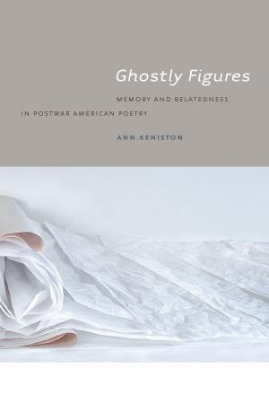 Cover of the book Ghostly Figures by Edward Hamlin