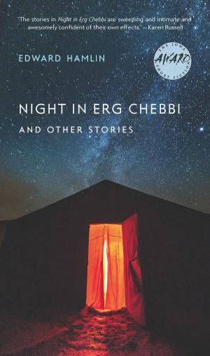 Cover of the book Night in Erg Chebbi and Other Stories by Megan Lewis