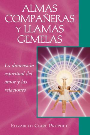 Book cover of Almas compañeras y llamas gemelas