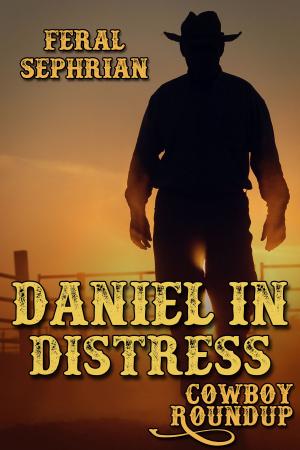 Cover of the book Daniel in Distress by R.W. Clinger