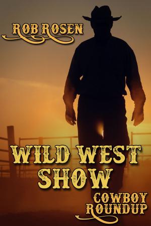 Cover of the book Wild West Show by J.D. Walker