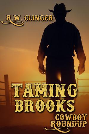 bigCover of the book Taming Brooks by 