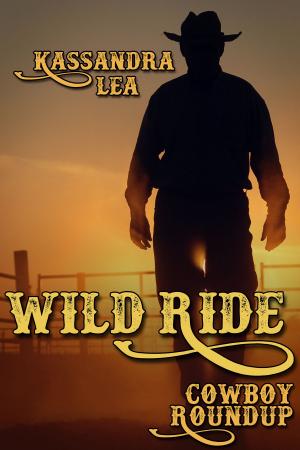 Cover of the book Wild Ride by Clara Bayard