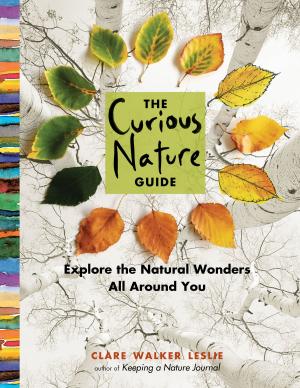 Cover of the book The Curious Nature Guide by Gil Monin