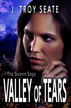 Cover of the book Valley of Tears by Jaden Sinclair