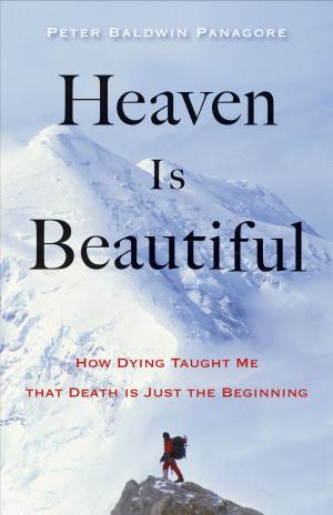Cover of the book Heaven Is Beautiful by Jeffers, Sharon