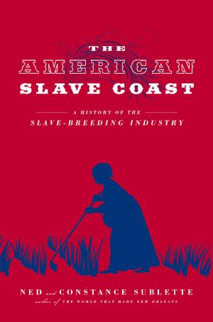 Cover of the book American Slave Coast by Cheryl Mullenbach, Cheryl Mullenbach